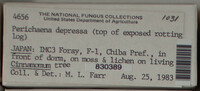 Image Associated With the Occurence